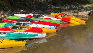 Different coloured kayaks on a beach